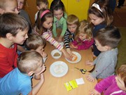 Pozorujeme jak klíčí a rostou semínka